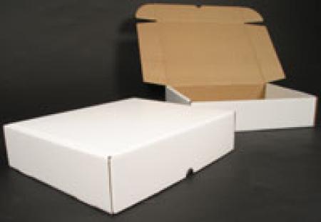 Preview: Dinodrei weiß Postversandkarton 430x350x100 mm Preview: Dinodrei weiß Postversandkarton 430x350x100 mm