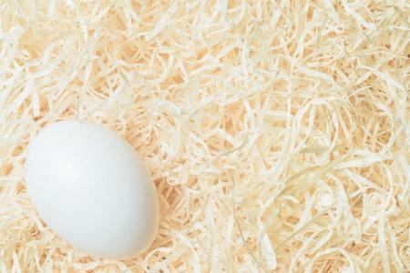 Preview: Holzwolle farbrein hell Preview: Holzwolle farbrein hell